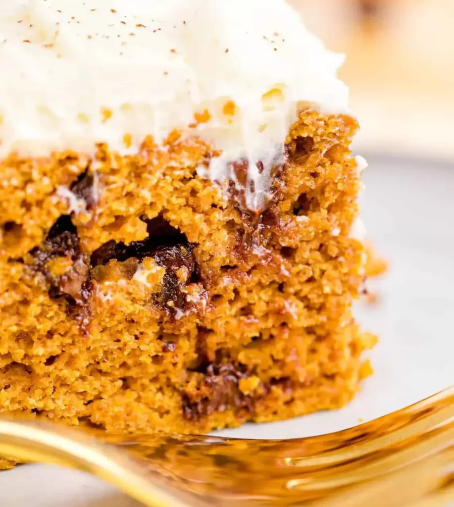 Pumpkin-Chocolate-Chip-Cake-with-Spice-Mix