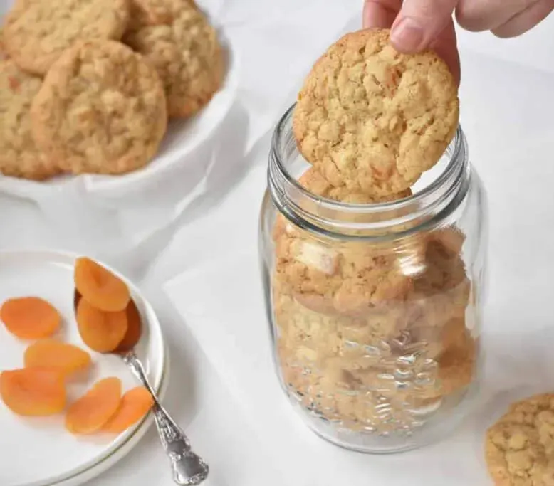 chewy-oatmeal-&-dried-apricot-cookies