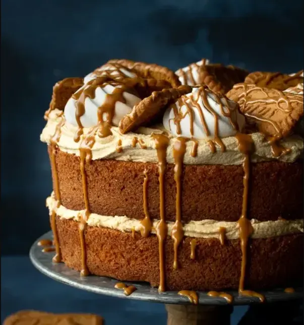 easy-biscoff-cake