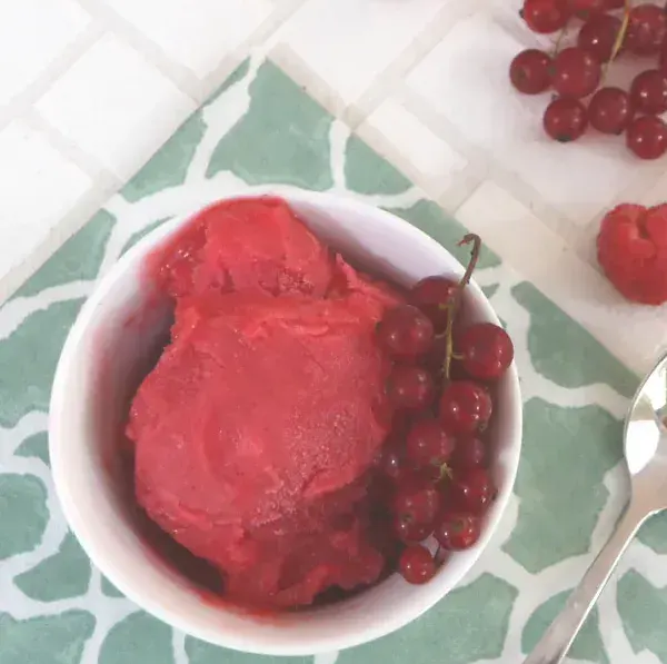 low-carb-raspberry-and-red-currant-sorbet
