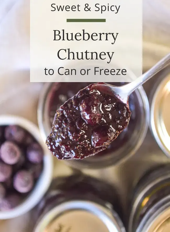 blueberry-chutney