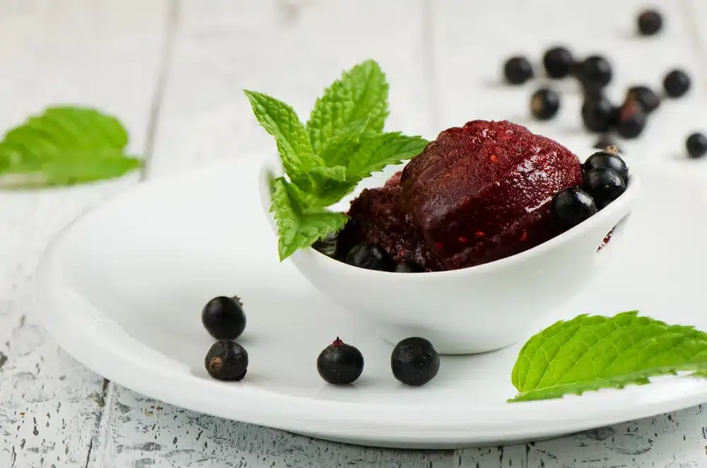 Aromatic-black-currant-and-mint-sorbet