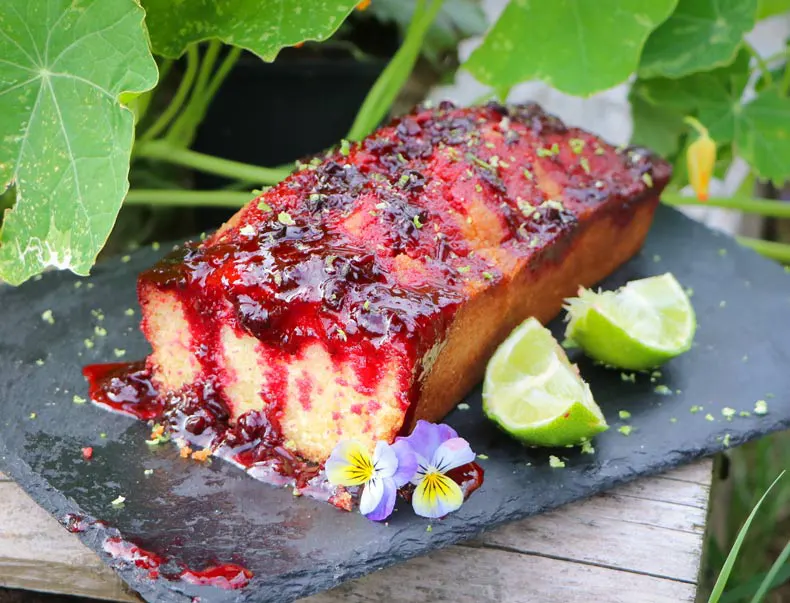 Scottish-blackcurrant-drizzle-cake