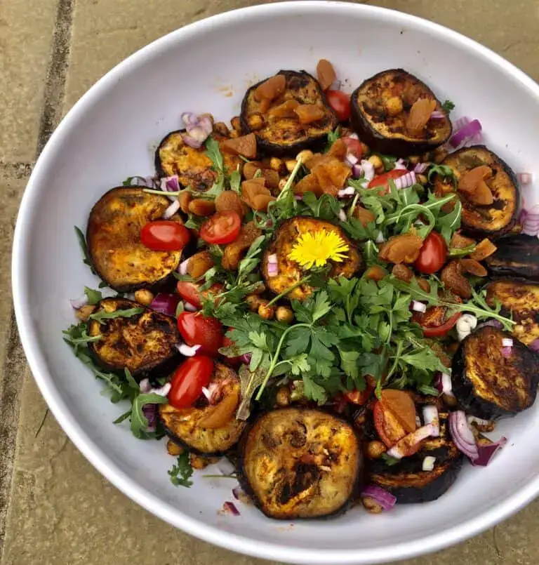 bbq-moroccan-eggplant-salad