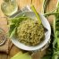 chicory-recipes