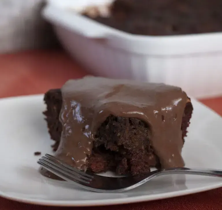 chocolate-cake-with-no-added-sugar