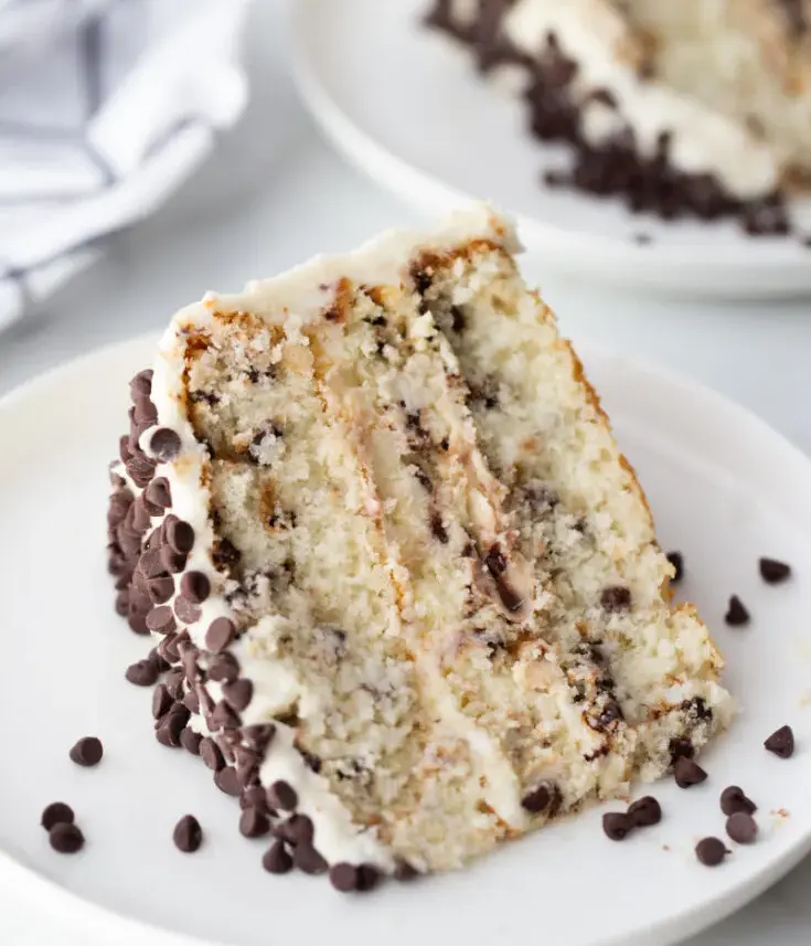 chocolate-chip-cheese-cake