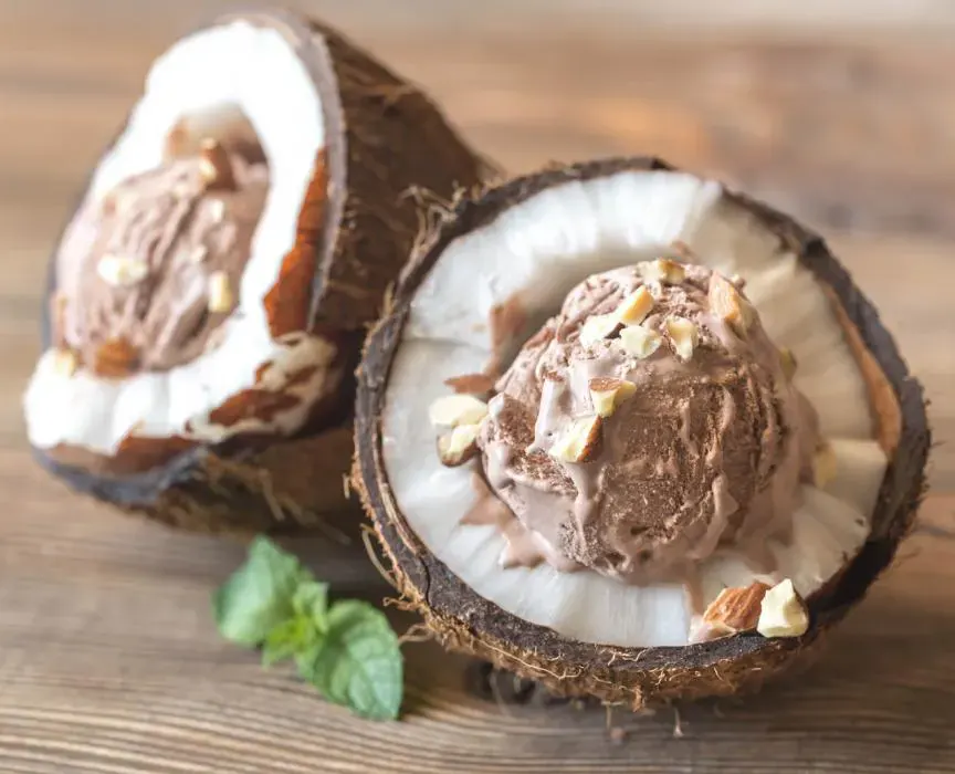 chocolate-coconut-non-dairy-ice-cream