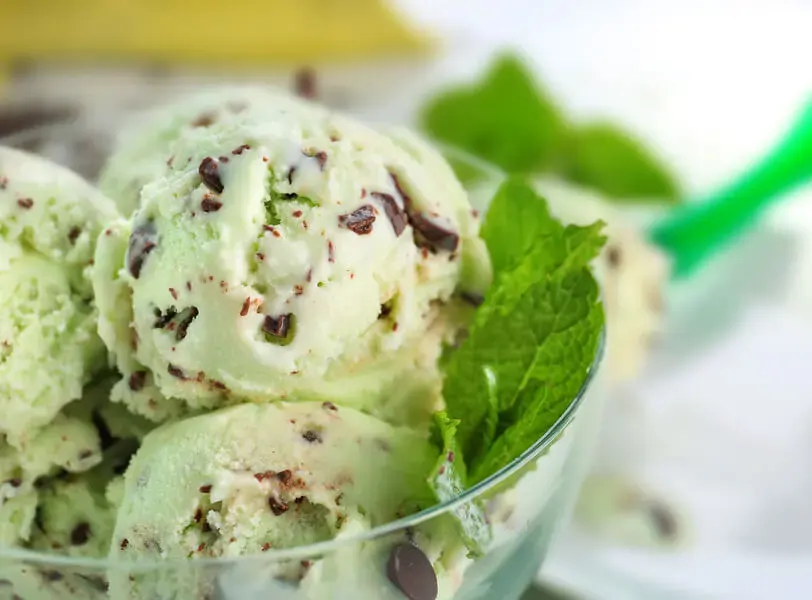 fresh-mint-with-chocolate-cookies-ice-cream