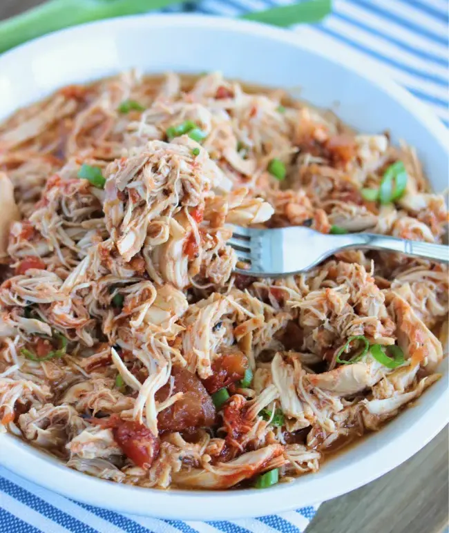 paleo-shredded-salsa-chicken