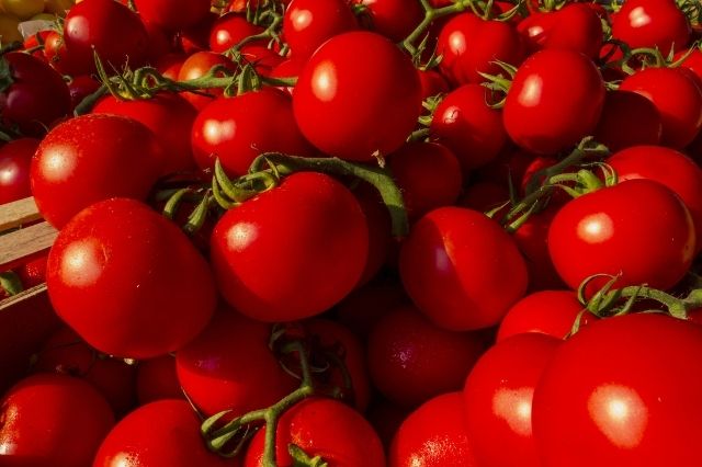 roma-tomato-recipes