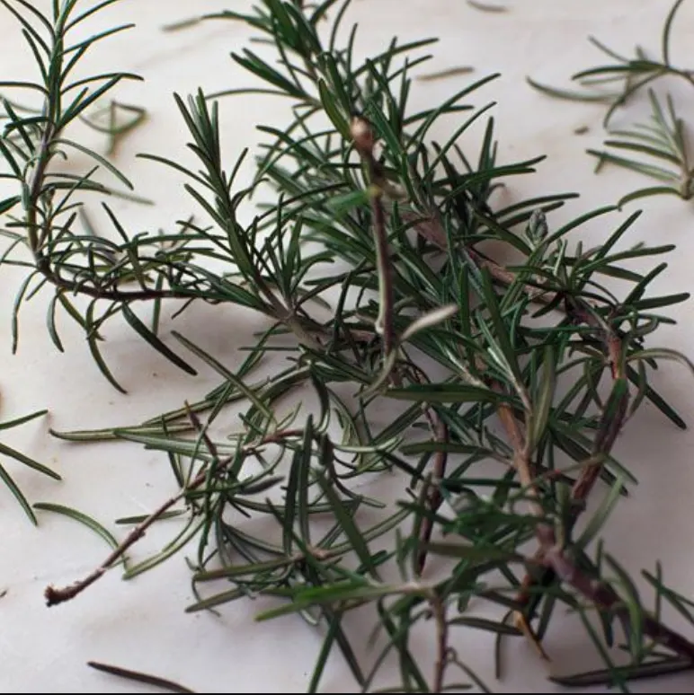 rosemary-infusion