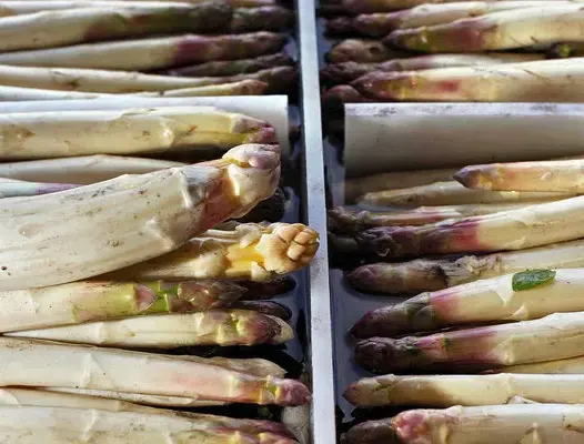 white-asparagus-with-cashew-cream-sauce